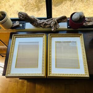 Aaron Brothers gold tone Art & Framing PHOTO FRAME 12.5x15.5” matted Hollywood